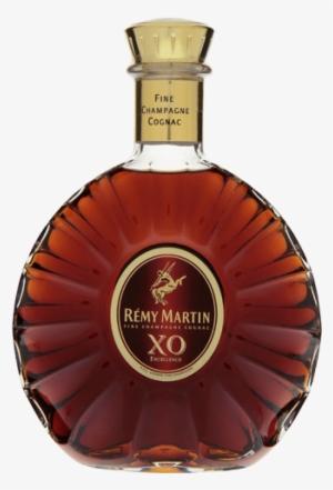Rémy Martin X - Rémy Martin Remy Martin Xo Excellence / Half Bottle #2909465
