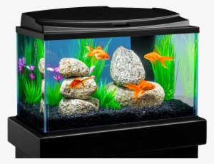 1.8 Gallon Fish Tank #2909520