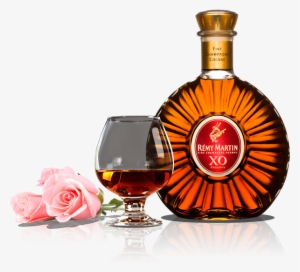 Remy Martin Xo #2909542