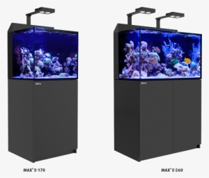 This Knowledge, Gained Over 25 Years, Forms The Basis - Red Sea Max 170 #2909767