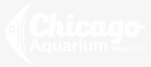 Chicago Aquarium - Chicago #2909787