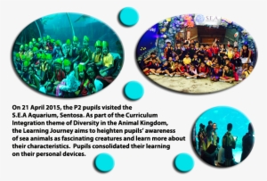 P2 Lj To Sea Aquarium - Circle #2909856