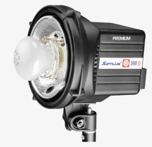 Sonia Photo - Sonia 300d #2909858