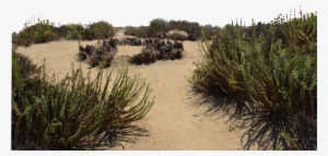 Sand Dunes Stock Photo Dsc 0116 Png By Annamae22-d9tryog - Dune #2910498