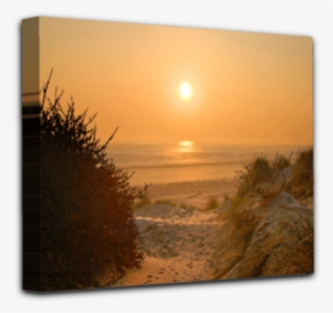 Canvas Greatstone Sand Dunes - Sunset #2910553