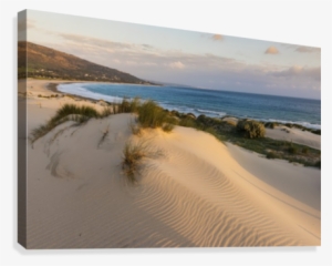 Punta Paloma Sand Dunes #2910678