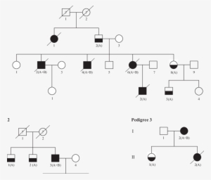 Squares Indicate Male And Circles Indicate Female - Diagram #2910679