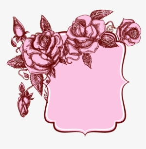 Beautiful Floral Banner - Vintage Light Pink Rose Drawing #2911101