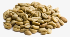 Café Verde Namasté - Green Coffee Beans No Background #2911153