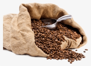 La Cosecha Cafetalera 2017-2018 Cerrará Con Una Producción - محمص الديوان #2911468