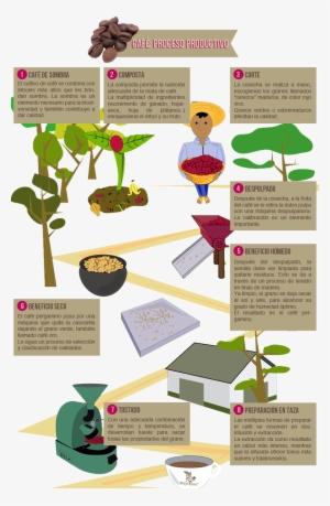 Pero Antes De Escribir La Receta De Esta Crema, Me - Coffee #2911528