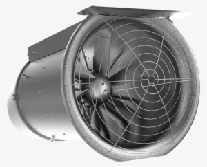 Jet Fans Azt - Fan #2913416