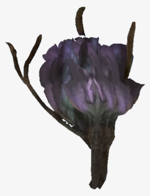 Tato Flower - African Daisy #2914836