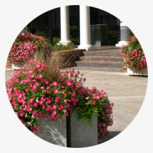 What Sets Us Apart From The Rest - Gaura #2915071