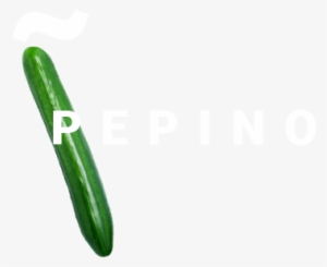 Grafismo Pepino Escobi Png - Cucumber #2915856