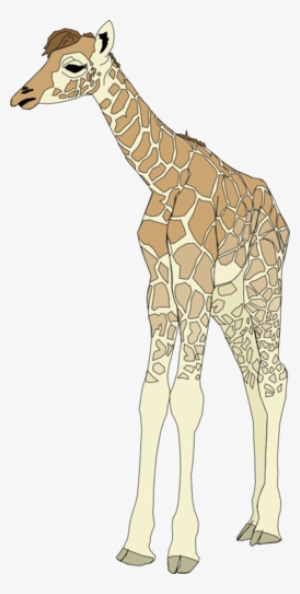 Baby Giraffe - Baby Giraffe Shower Curtain #2916170