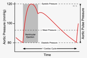 Arterial Blood Pressure - Pulse Pressure #2916259
