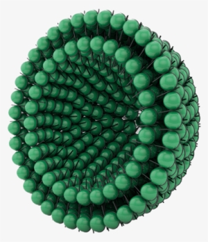 Malacella Bellaspheres Proprietary Complex Of Acmella - Animation #2916445