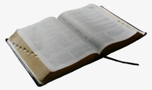 Adult Bible Fellowship - Book #2916575