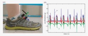 A) Photograph Of In Situ Testing Of The Accelerations - Diagram #2917165