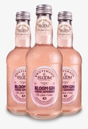 Rose Lemonade & Bloom Gin - Fentimans Bloom Gin & Rose Lemonade #2918154