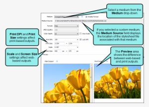 In Flare, You Insert The Capture Image #2918230