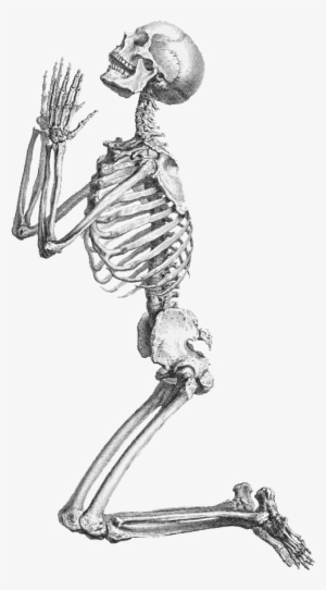 Skeleton Transpa Background Png Mart - Skeleton Png #2918308 Skeleton Transpa Background Png Mart - Skeleton Png #2918308