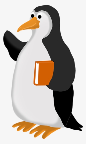 Funny Penguin Clip Cliparts - Penguin With Book Cartoon #2918502