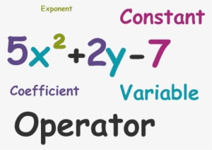 Parts Of Polynomial - Variable In A Polynomial #2919455