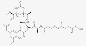 Lorvotuzumab Mertansine #2919457