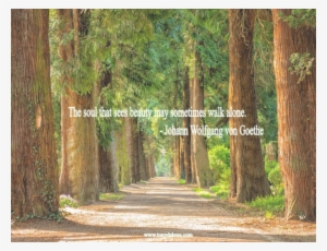 0 Replies 0 Retweets 0 Likes #2919507