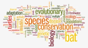 Conservation Biology, Molecular Ecology And Population - Words #2919513 Conservation Biology, Molecular Ecology And Population - Words #2919513