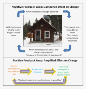 Ice-albedo Feedback - Positive Feedback Geology Examples #2919955