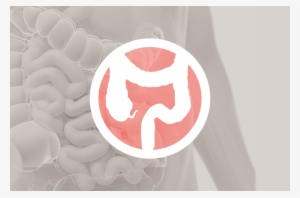 Colon/anorectal Surgery - Surgery #2920319