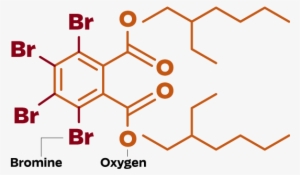 Flame Retardants And Their Risks - Dansyl Chloride #2920348