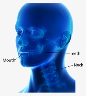 Dental And Oromaxillofacial Surgery - Surgery #2920438