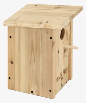 Plywood #2921502
