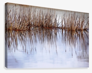 Cattail Abstract Ii Canvas Print - Artist #2921875