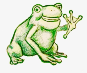Attachment - Pine Barrens Treefrog #2923315 Attachment - Pine Barrens Treefrog #2923315