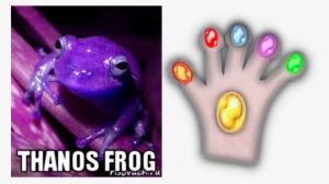 Thanos Glove Gauntlet Custom Fit For Frog Fingers Imgur - Purple Frog #2923346