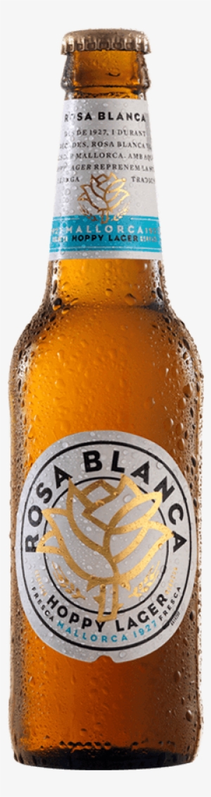 Rosa Blanca - Beer #2923937