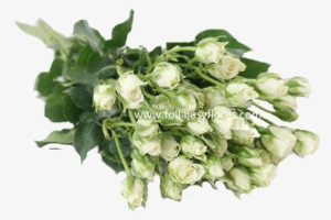 Entregas - Mexico City #2924236