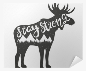 Vector Seamless Pattern With Pineapple And Other Fruits - Illustration Moose #2924392