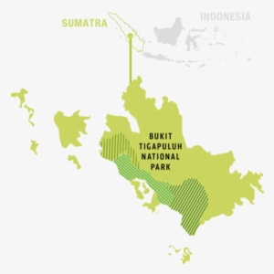 Remaining Forest In Thirty Hills - Atlas #2924395