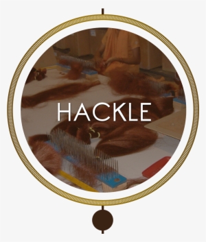 Hair Is Hackled Into 500g Bundles Of Equal Length And - Genetic Map Of E Coli #2925546