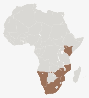 Africa Compton #2926302