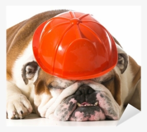 Bulldog Fireman #2926717 Bulldog Fireman #2926717