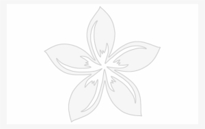 Regular Plumeria $4 - Black And White Plumeria Flowers #2927193