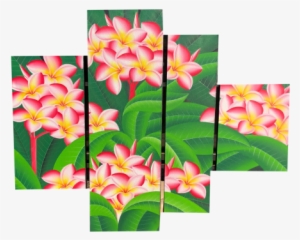 Panel Plumeria Flower Painting - Frangipani #2927394