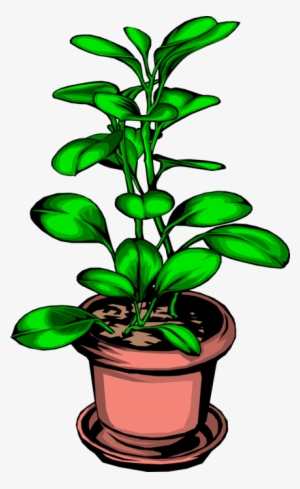 Vector Illustration Of Potted Plant - Gardens: History, Gardening And Plant Science #2927499